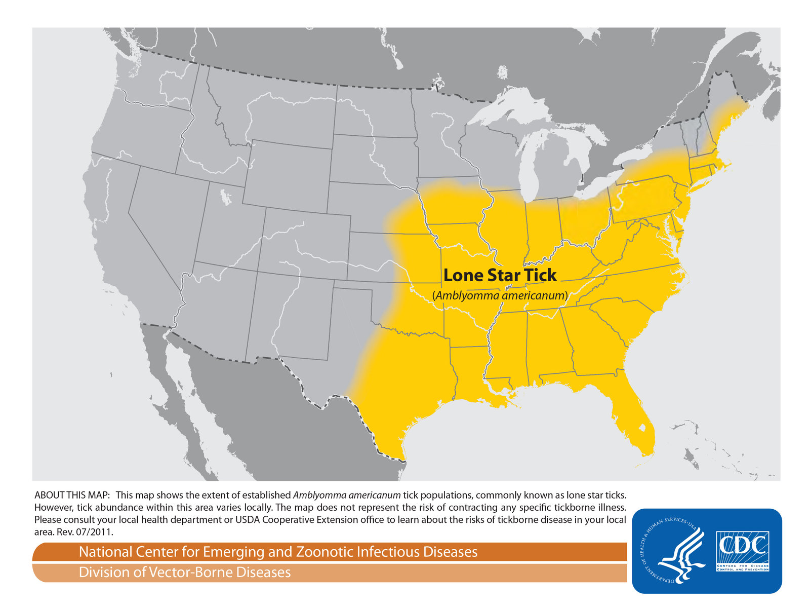 Lone Star Tick All American Allergy Alternatives