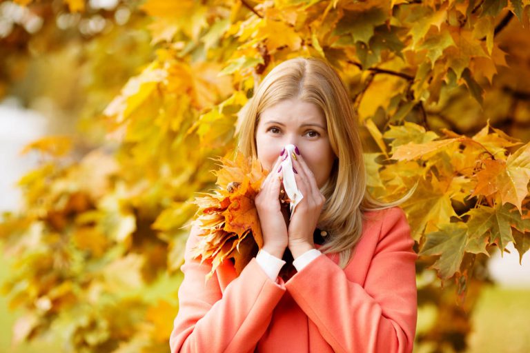Fall Allergy All American Allergy Alternatives